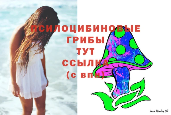 ешки Алексеевка