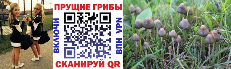 Галлюциногенные грибы Magic Shrooms  Лянтор 